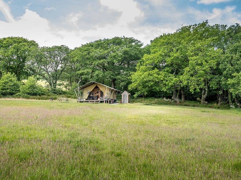 Setting | Tent 1 Deerland - Manor Farm, Hooke, near Beaminster