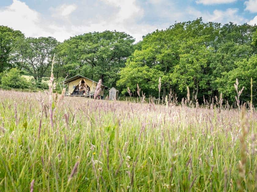 Setting | Tent 1 Deerland - Manor Farm, Hooke, near Beaminster