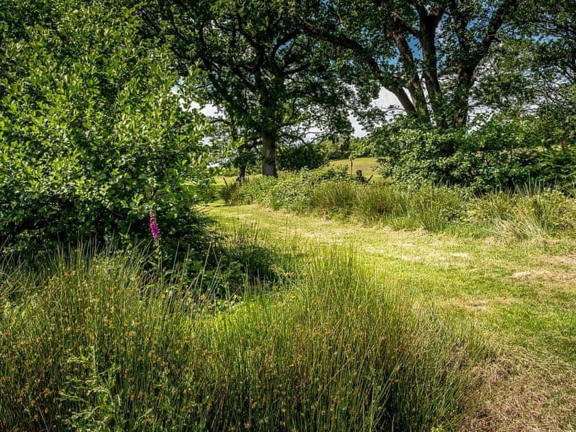Setting | Tent 1 Deerland - Manor Farm, Hooke, near Beaminster