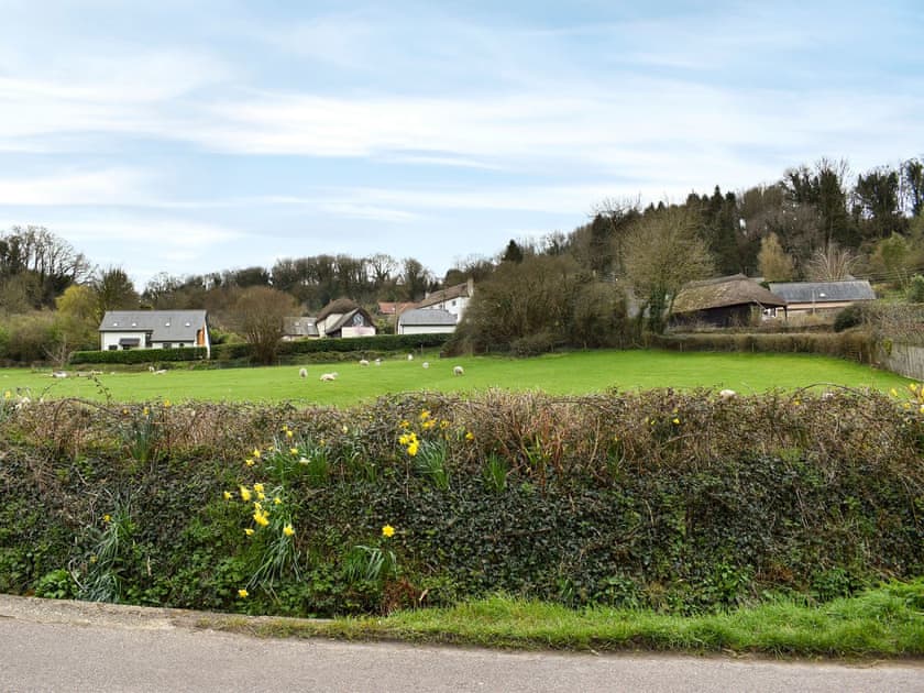 Surrounding area | The Little House, Axmouth