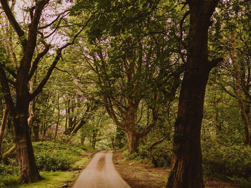 Garden and grounds | Fawn’s Velvet - Dunskey Estate, Portpatrick, near Stranraer