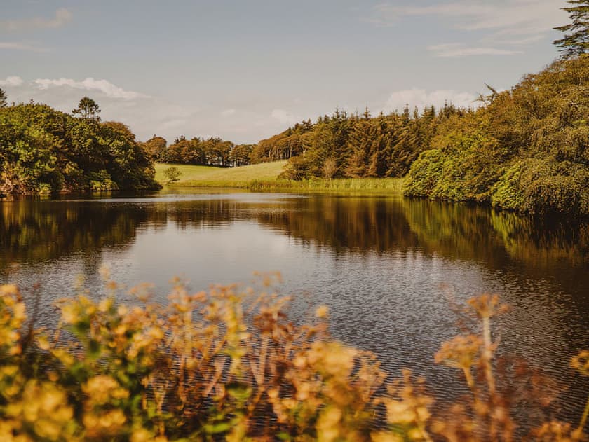 Garden and grounds | Fawn’s Velvet - Dunskey Estate, Portpatrick, near Stranraer