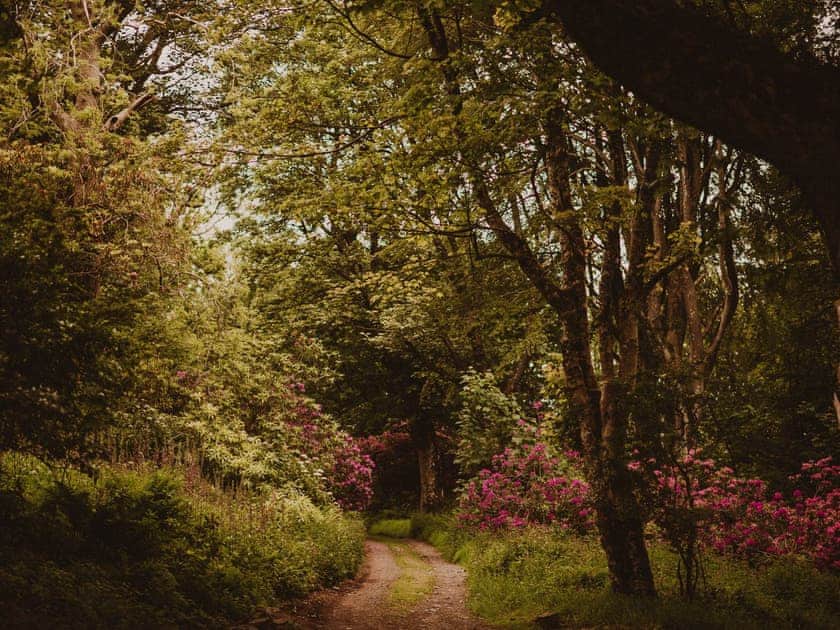 Garden and grounds | Fawn’s Velvet - Dunskey Estate, Portpatrick, near Stranraer