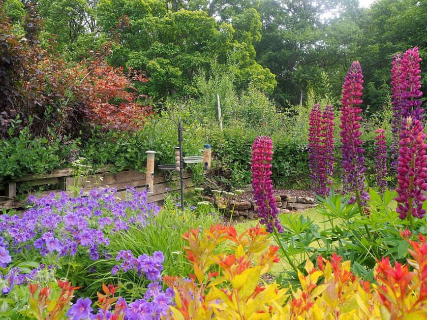 Garden | Corrie Cottage, Crieff