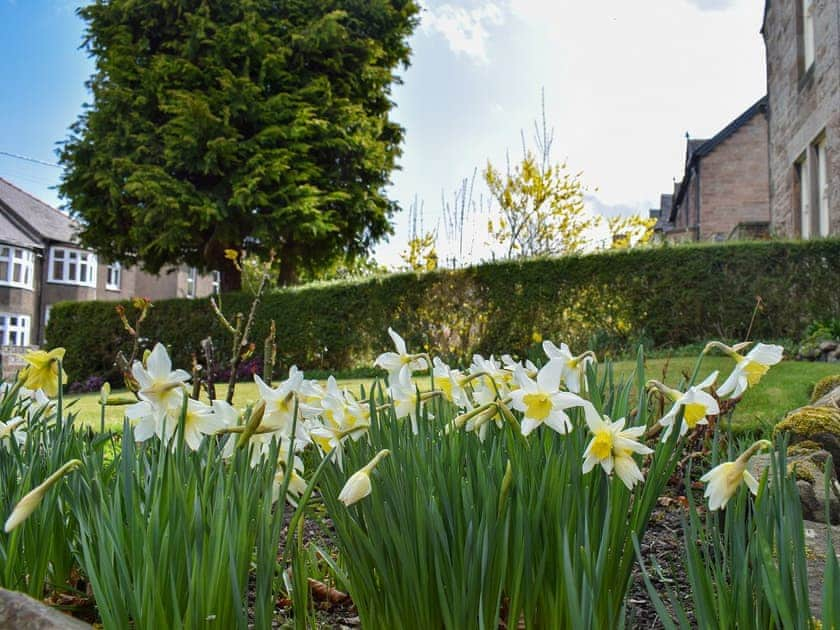 Garden | Tarn House, Wooler