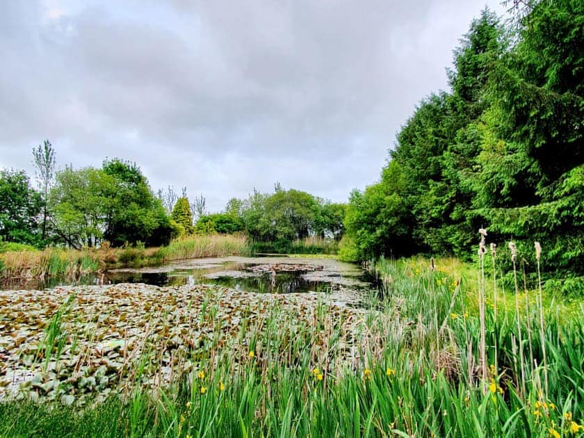 The Cottage - Tor Y Graig, Neath
