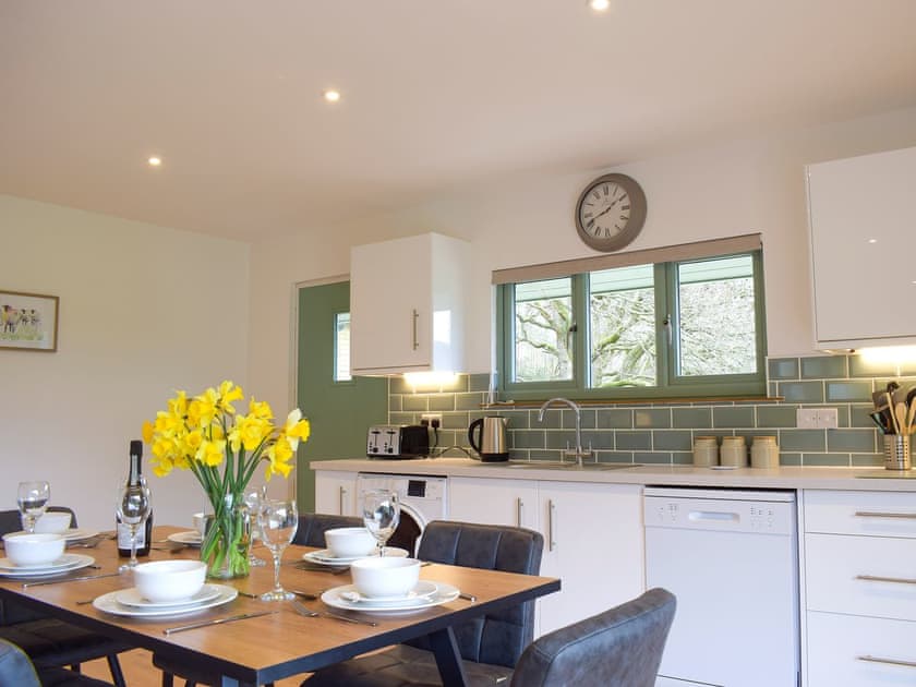Open plan living space | Red Kite Lodge - Acre Luxury Lodges, Stanner, near Kington