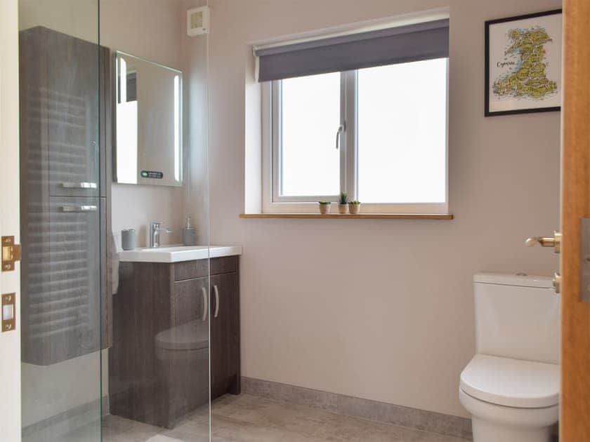 Shower room | Cadno - Glanyrafon Lodges, Cwrt Newydd, near Llandysul