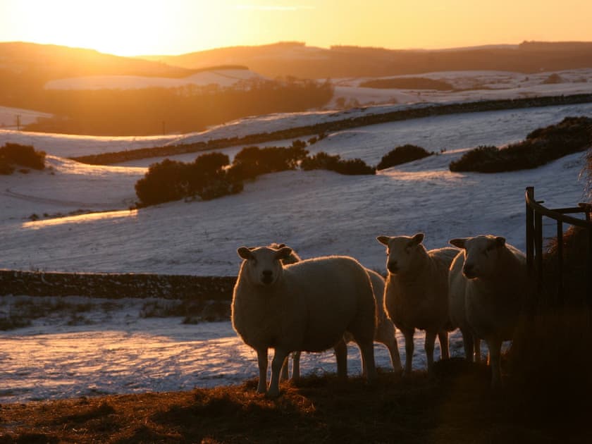 Surrounding area | Stables House - Barwhillanty Estate, Parton, near Castle Douglas