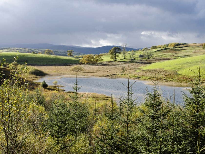 Surrounding area | Culdoach - Barwhillanty Estate, Parton, near Castle Douglas