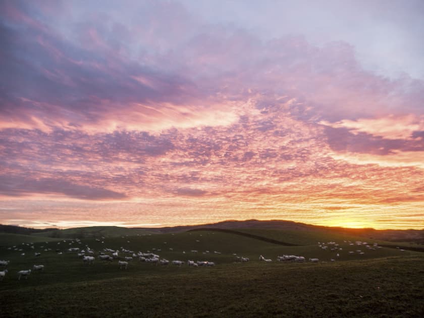 Surrounding area | Culdoach - Barwhillanty Estate, Parton, near Castle Douglas