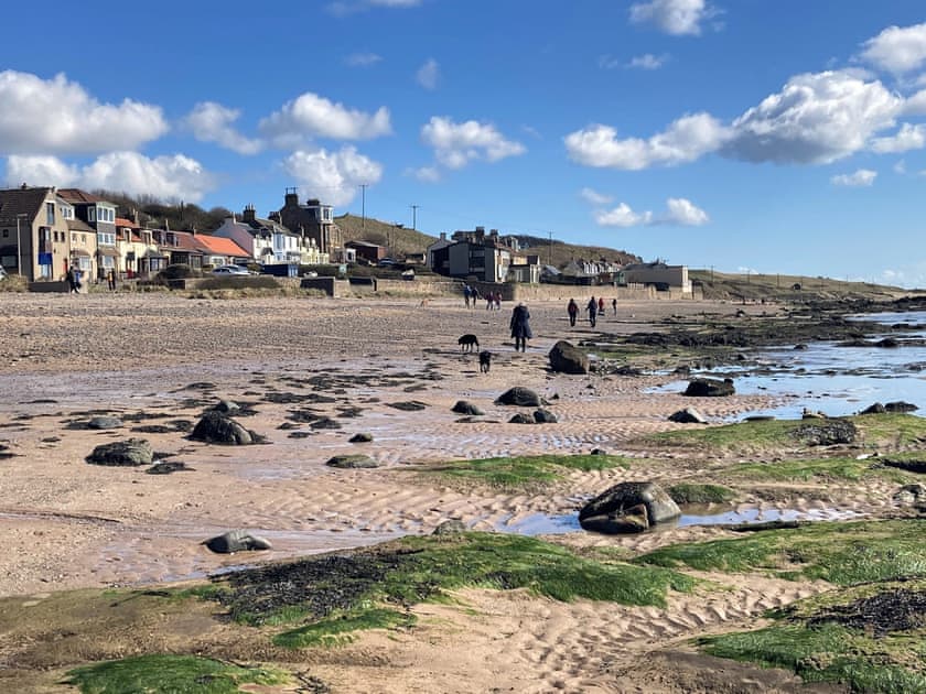 Surrounding area | Cardy Cottage, Lower Largo