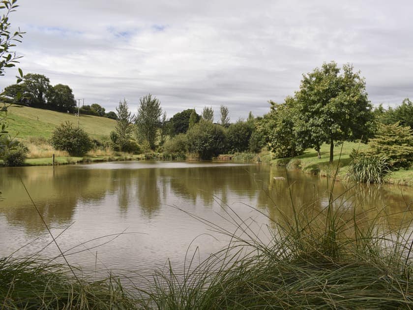 Surrounding area | Ponsford PondsRoach Cottage, Mallard Roundhouse - Ponsfor, Knowle, near Cullompton