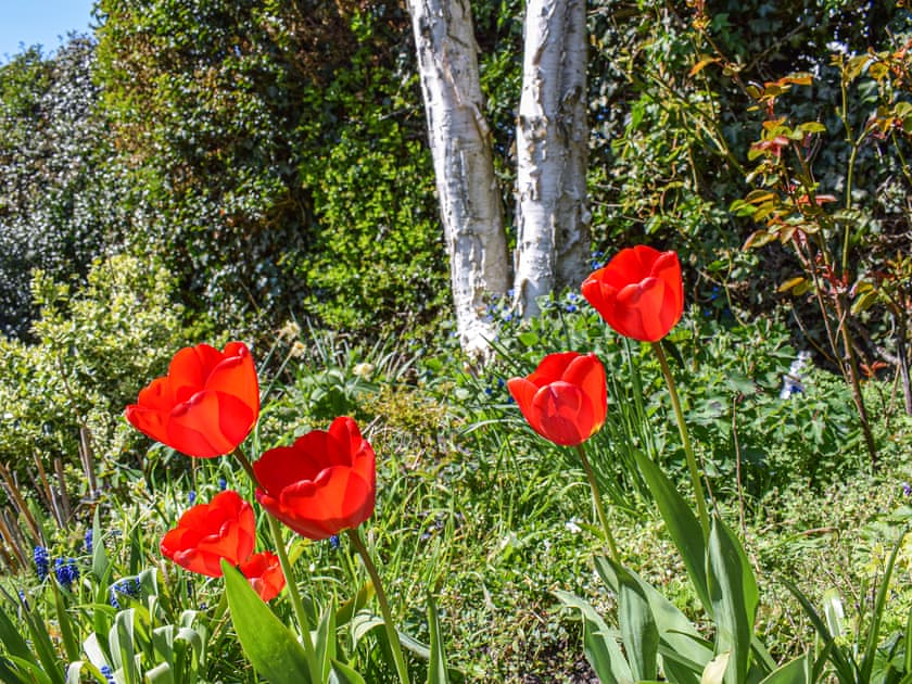 Garden | St Cuthbert’s Retreat, Wooler