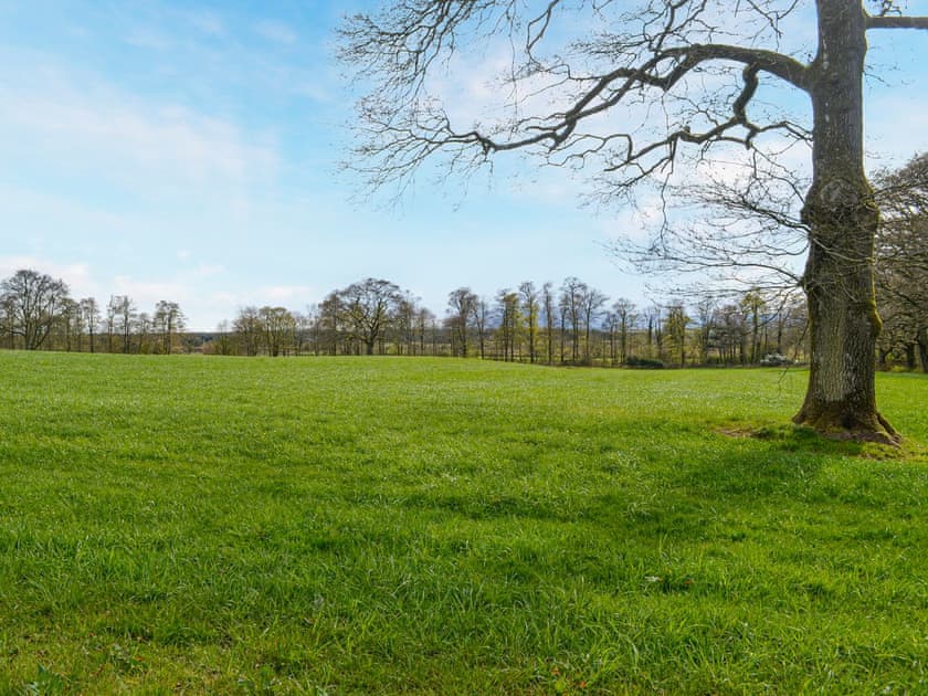 View | The Tranquil Orchard - Woodpecker Lodge - The Tranquil Orchard , Brocklehirst, near Dumfries