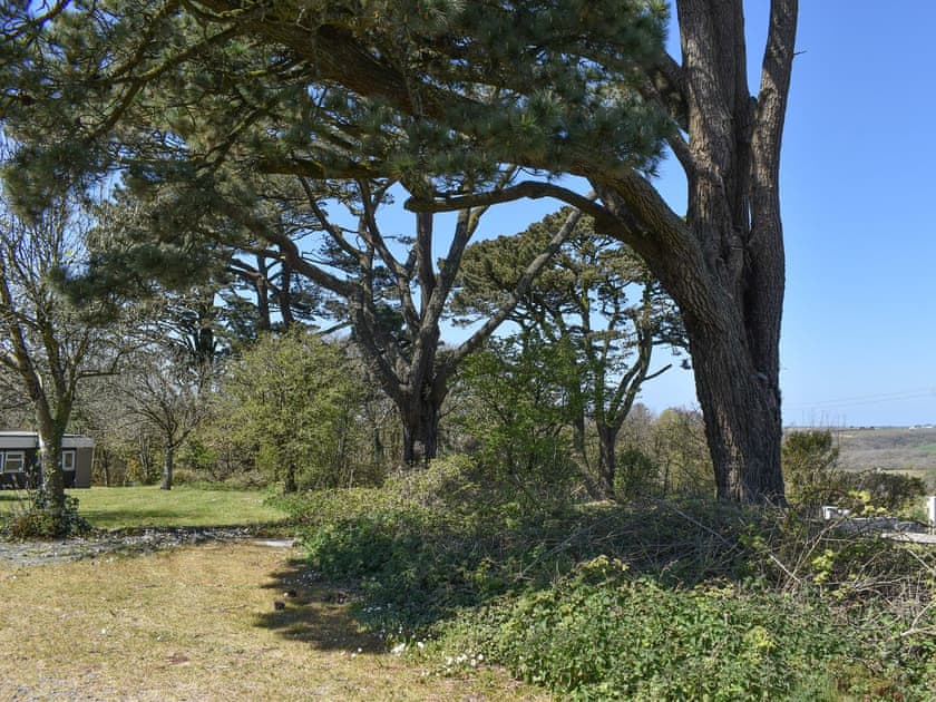 Setting | Hillside, Penstowe Park, near Bude