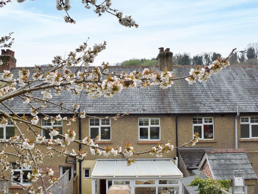 View | The Little House, Axmouth