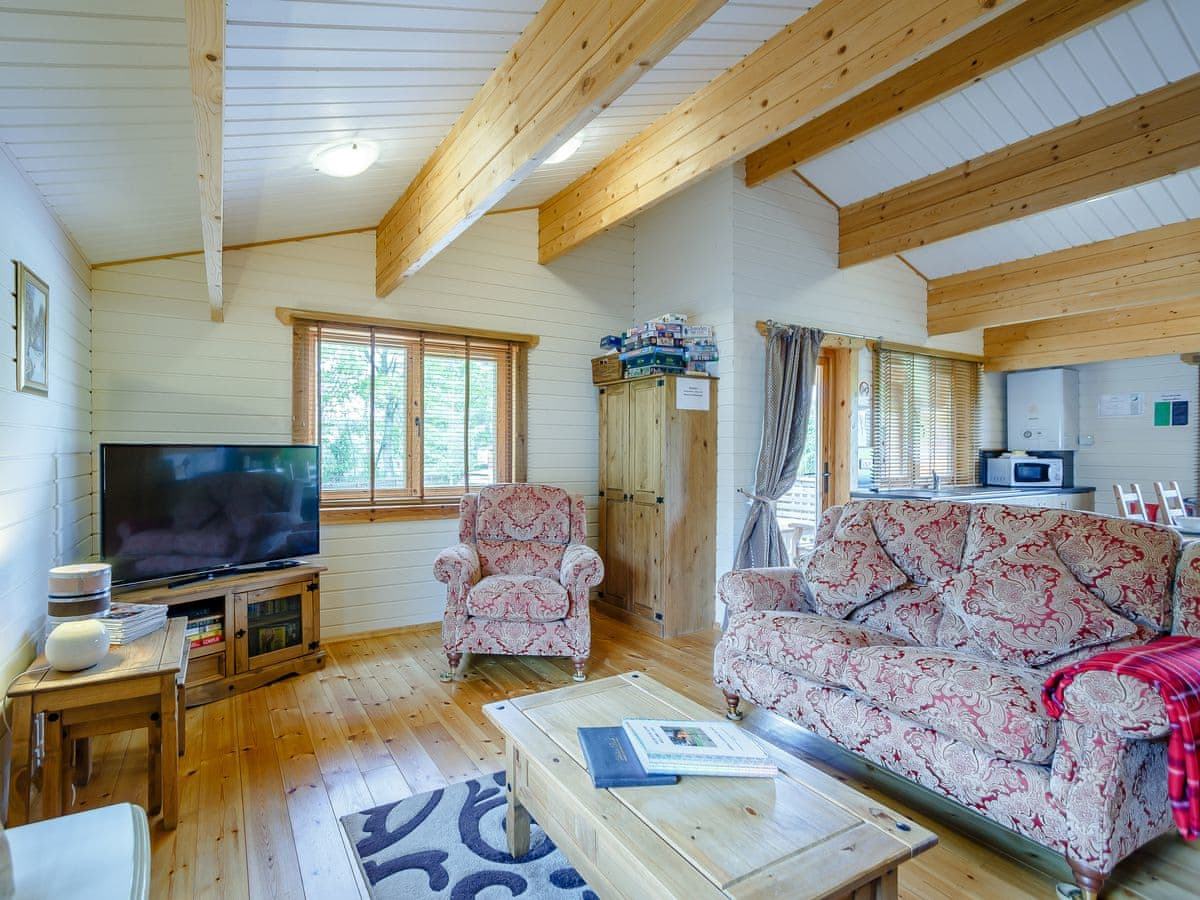 Old Pump House Lodges - Chloe - Holiday lodge in Southern Scotland - Image 4