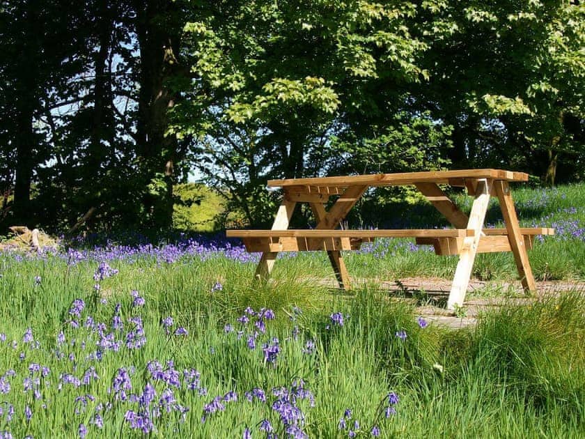 Sitting-out-area | Rosie’s Cottage, Near Lochwinnoch
