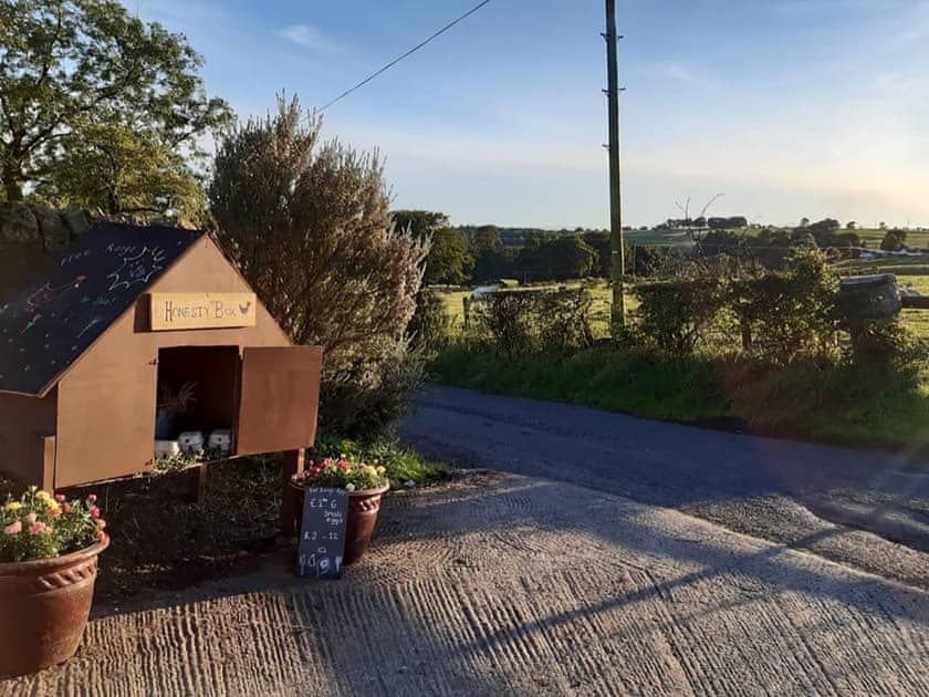 Garden and grounds | Old Barn Farmhouse - Old Barn Farm, Uplawmoor, near Paisley