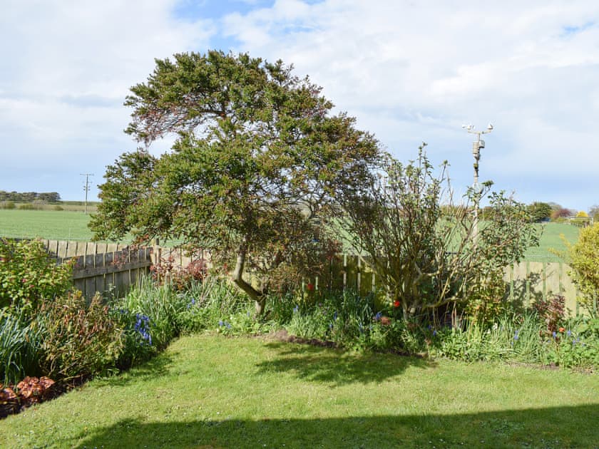 Garden | The Lookout, Boulmer