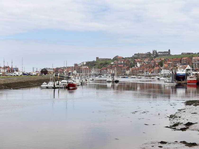 Surrounding area | All Aboard, Whitby