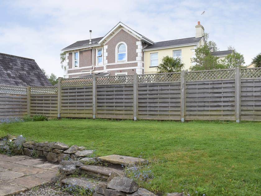 Garden | Dandelions, Newton Abbot