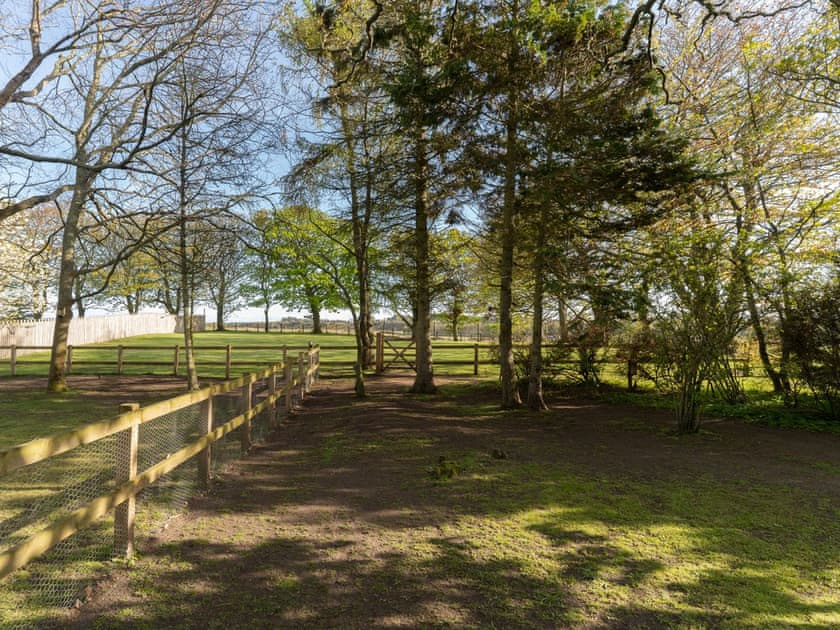 Garden and grounds | Garden Cottage, Tain