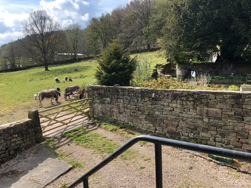 View from top of steps | Calf Close Barn, Ashover