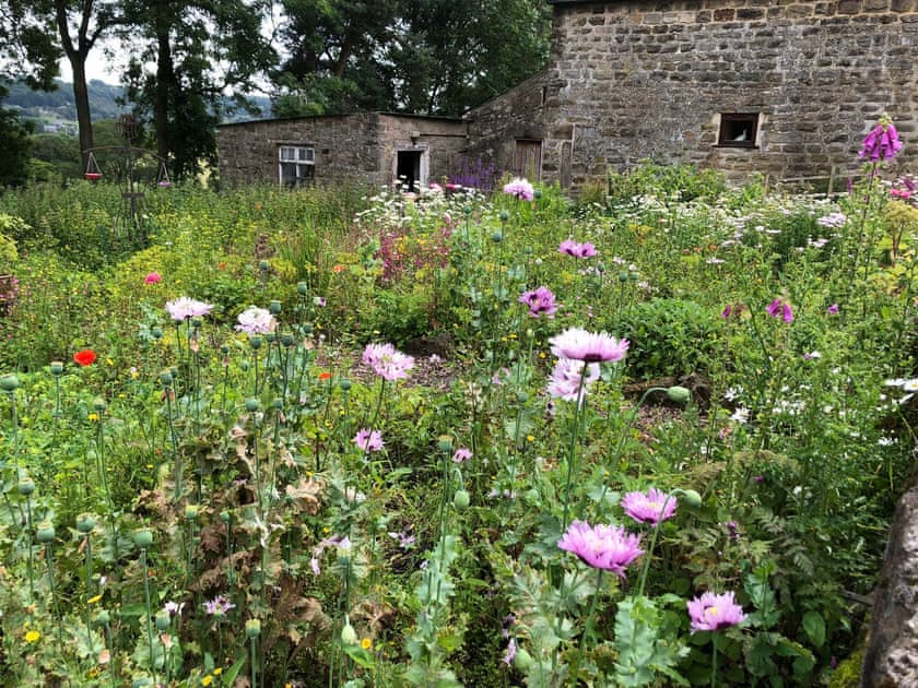 Garden and grounds | Calf Close Barn, Ashover