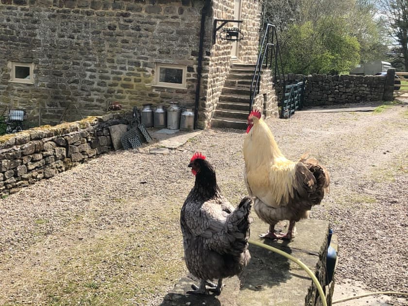 Exterior, parking area  | Calf Close Barn, Ashover