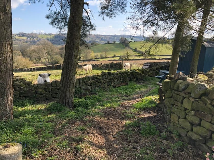 Garden and grounds | Calf Close Barn, Ashover