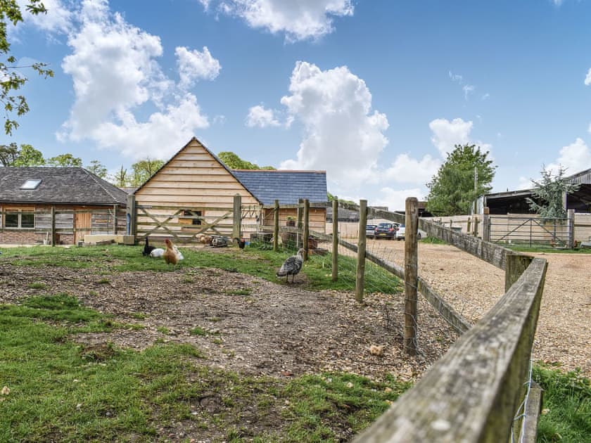 Surrounding area | Cozy Cottage - Midgham Long Copse, Midgham, near Fordingbridge