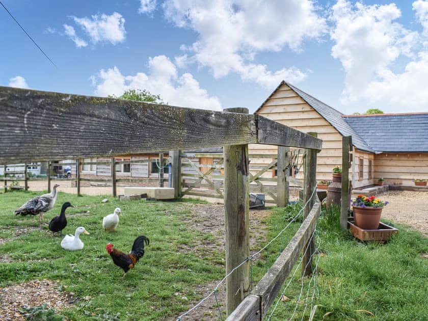 Surrounding area | Cozy Cottage - Midgham Long Copse, Midgham, near Fordingbridge
