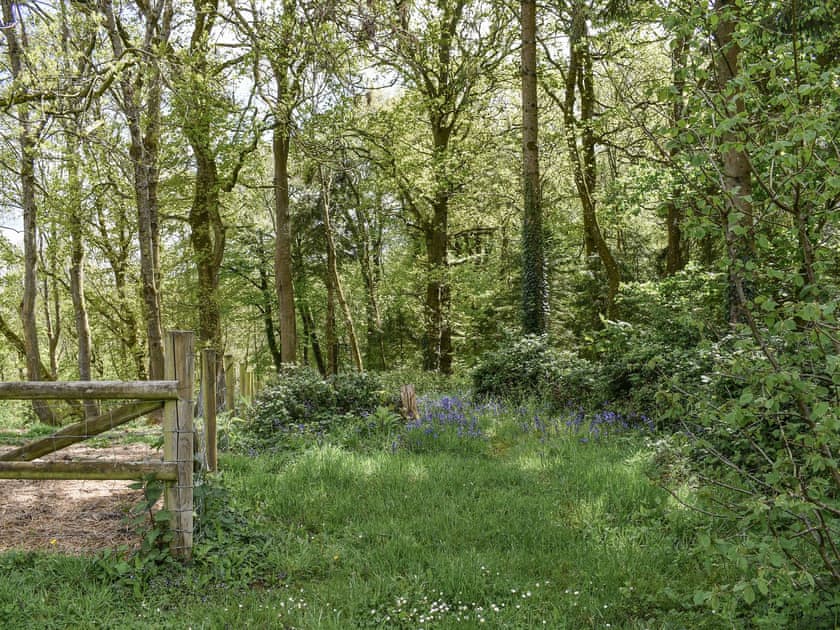 Surrounding area | Cozy Cottage - Midgham Long Copse, Midgham, near Fordingbridge