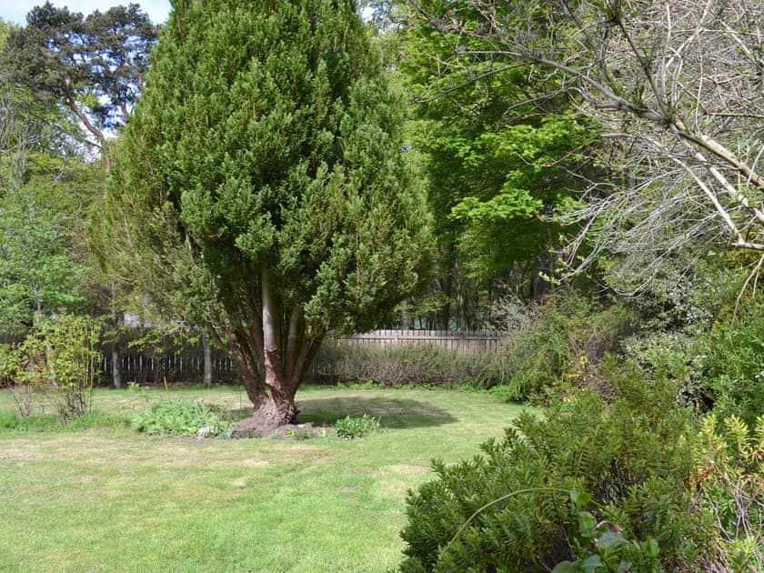 Garden | Eagles Gate Lodge, Banff