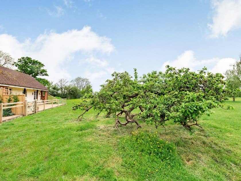 Garden and grounds | Orchard Barns, Lower Wick, near Dursley