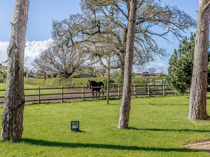 View | Low Barn, Carlton