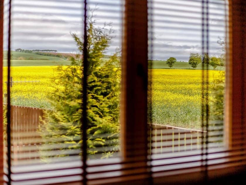 View | Chloe - Old Pump House Lodges, Lintlaw near Duns