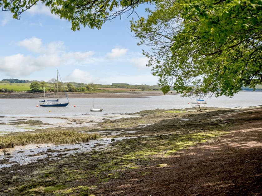 Surrounding area | Cherry Trees, Port Lion