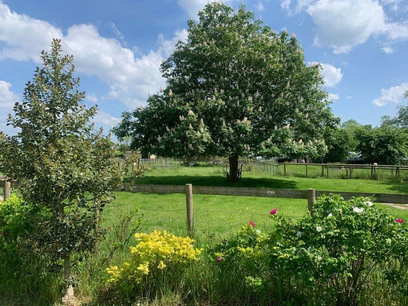 View to adjacent paddock | Crickledown, High Ham, Langport