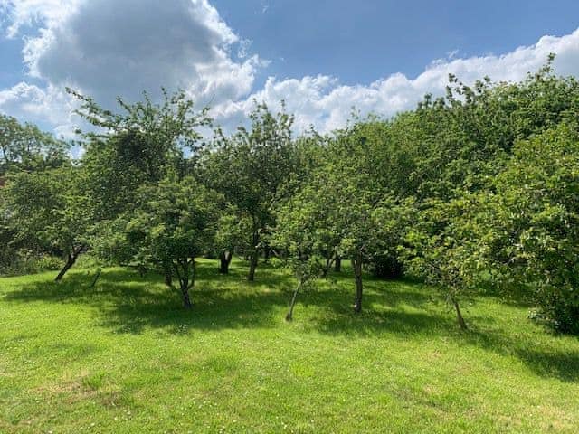 Garden | Crickledown, High Ham, Langport