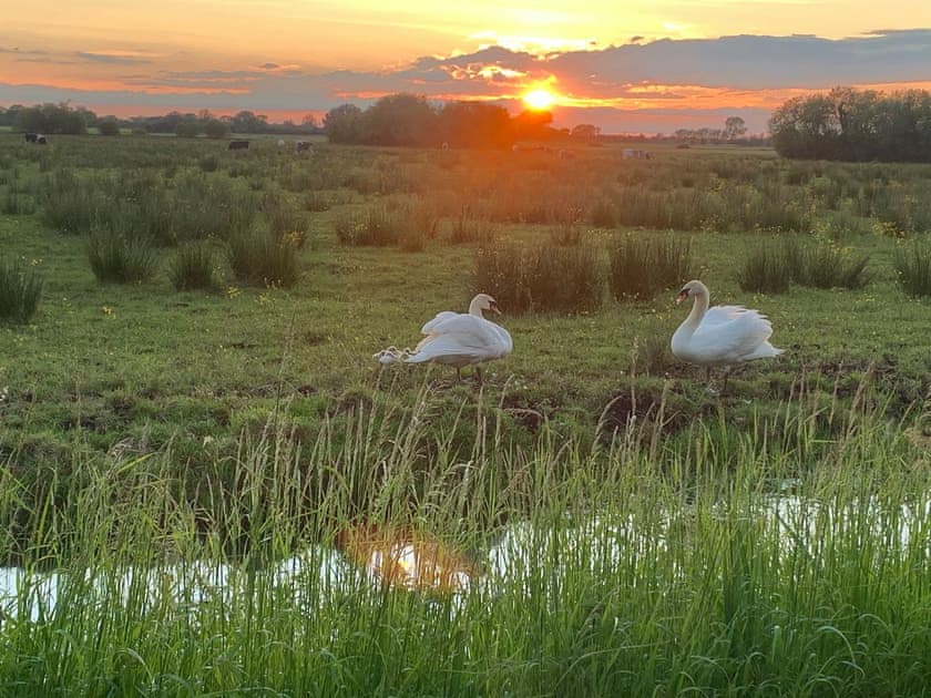 Surrounding area | Crickledown, High Ham, Langport