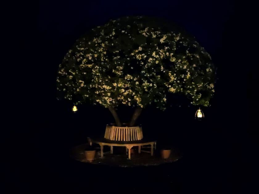 Garden | The Little Cottage, Fittleworth, near Chichester