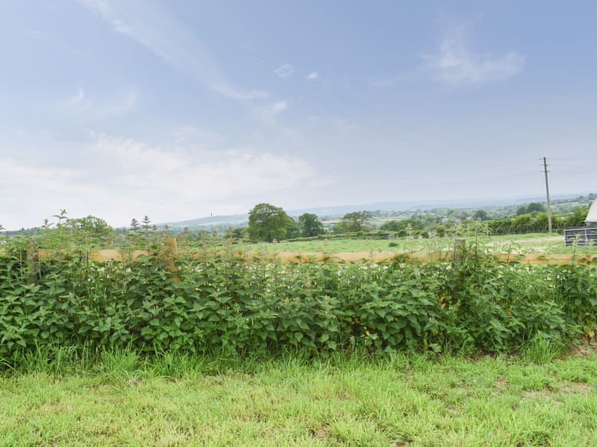 View | Cornfield Lodge, Shaftesbury
