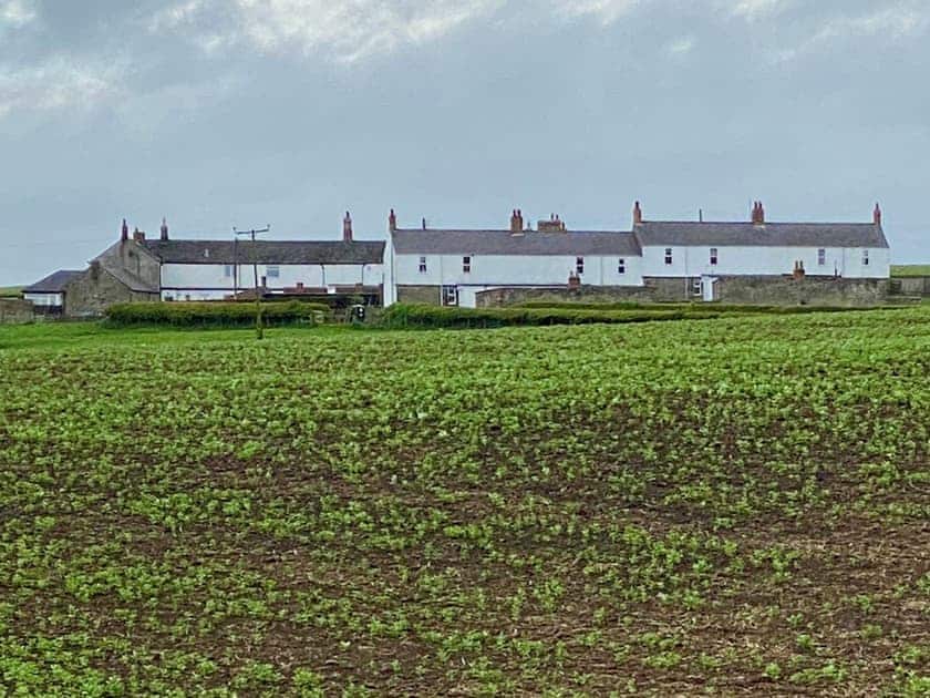 Set in a peaceful rural location | Darling Cottage, East Burton, near Bamburgh