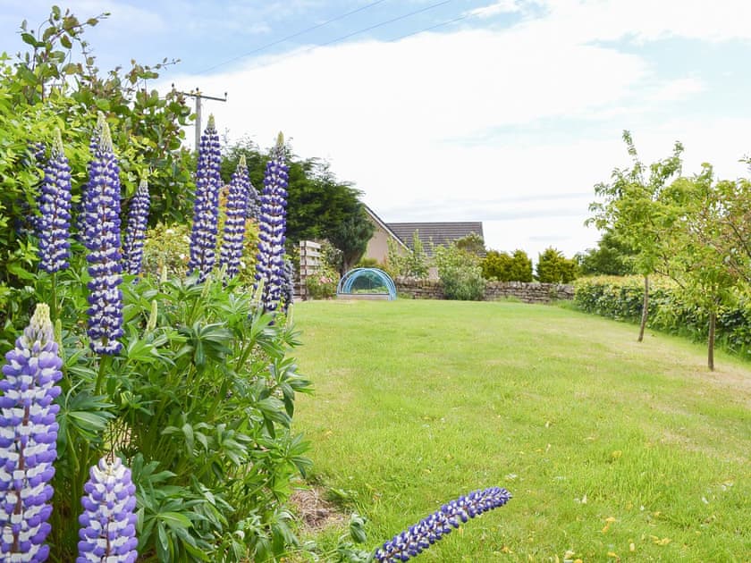 Garden | Westend, Duffus