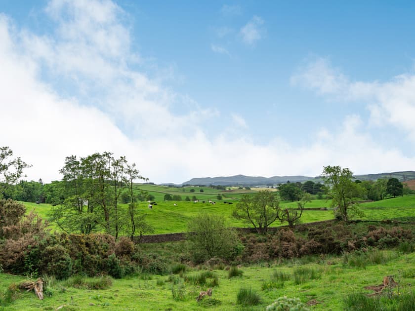 View | Culdoach - Barwhillanty Estate, Parton, near Castle Douglas