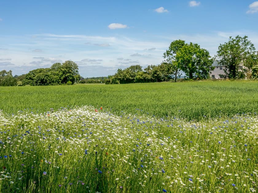 Surrounding area | The Hayloft, The Dutch Barn - Goldstones Farm, Ashdon, near Saffron Walden