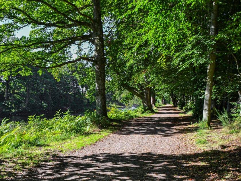 Surrounding area | Rubys Cottage, Crieff